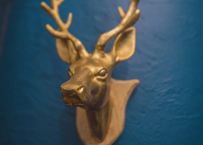 Penzion Aspen House &