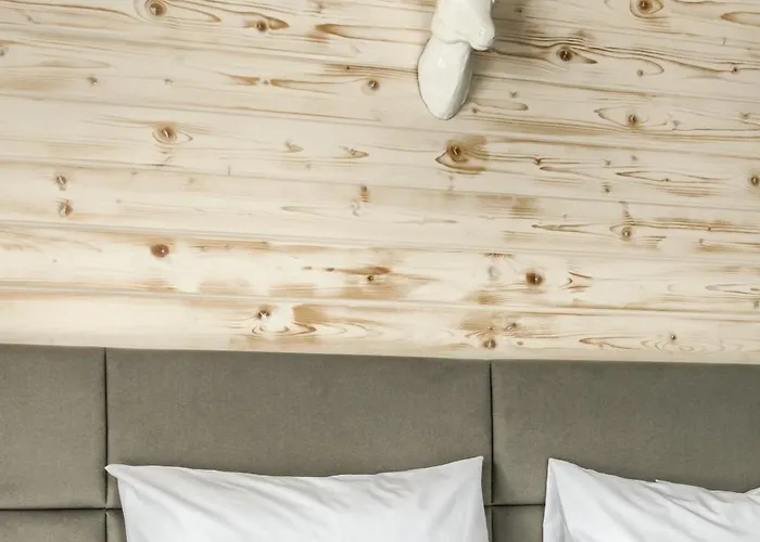 Penzion Aspen House &