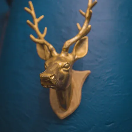 招待所 Aspen House &