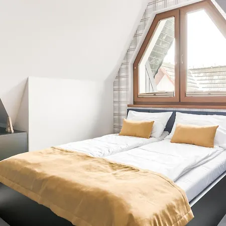 Aspen House Zakopane&spa Pensjonat 3*